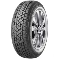 GT Radial WINTERPRO 2 SPORT - 205/45 R17 88V
