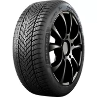 DUNLOP WINTER XL - 195/65 R15 95T