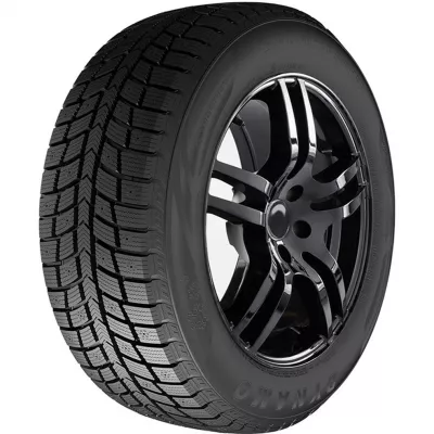 DYNAMO SNOW-H MWH03 - 225/65 R16 100T