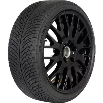 Michelin PILOT ALPIN 5 XL - 295/30 R21 102W – 1