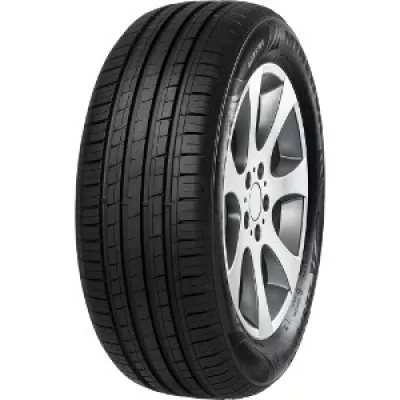 MINERVA F209 - 195/55 R16 87V