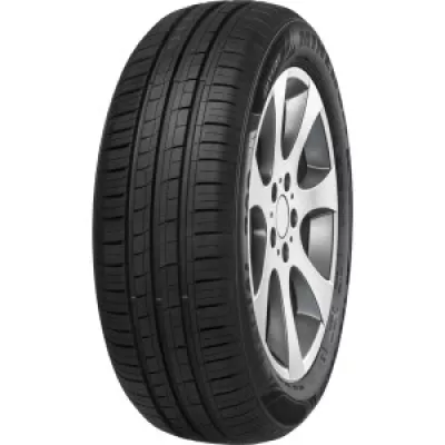 MINERVA 209 - 175/65 R14 82H